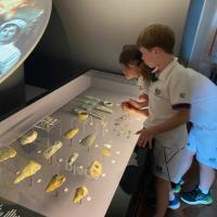 Gunnersbury Park Museum trip