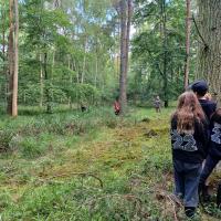 Bushcraft 2022: Gallery Two