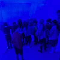 Colourscape Festival September 2022