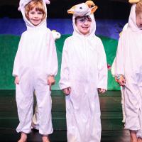PP Xmas Show 2022