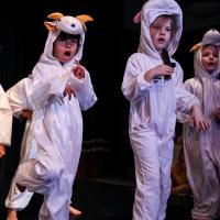PP Xmas Show 2022