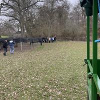 Rushall Farm 2023