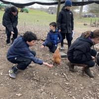 Rushall Farm 2023