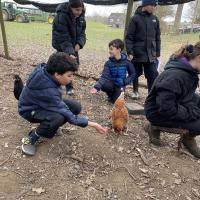 Rushall Farm 2023