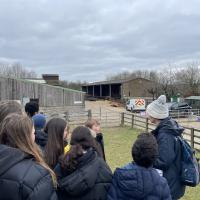Rushall Farm 2023