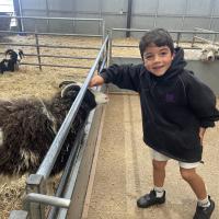 Pre-Prep Farm 2023