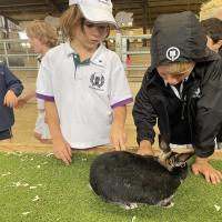 Pre-Prep Farm 2023