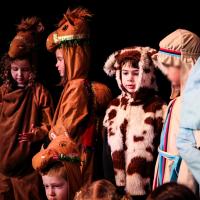 Lost Sheep Dec 2023