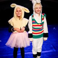Lost Sheep Dec 2023