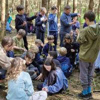 Bushcraft trip 2024