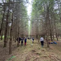Bushcraft trip 2024