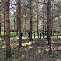 Bushcraft trip 2024