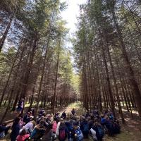 Bushcraft trip 2024