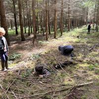 Bushcraft trip 2024