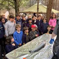 Bushcraft trip 2024