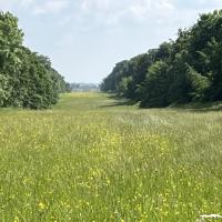 Bushcraft trip 2024