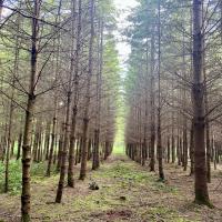 Bushcraft trip 2024