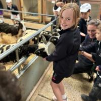 Pre-Prep Farm Trip June 2024