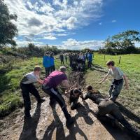 11s Mendip Hills trip 2024