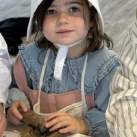 PP2 Great Fire of London workshop 2024