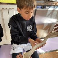 PP Science Week 2025