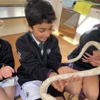 PP Science Week 2025