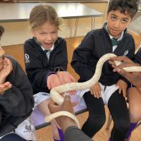 PP Science Week 2025