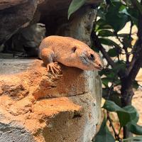 13s Geography Zoo trip 2025