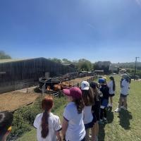 Rushall Farm Trip 2025